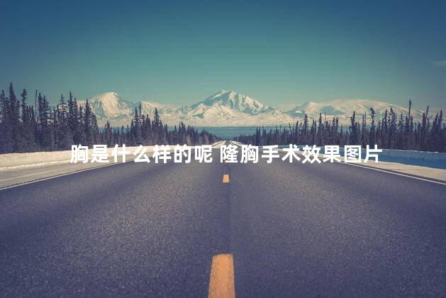 胸是什么样的呢 隆胸手术效果图片